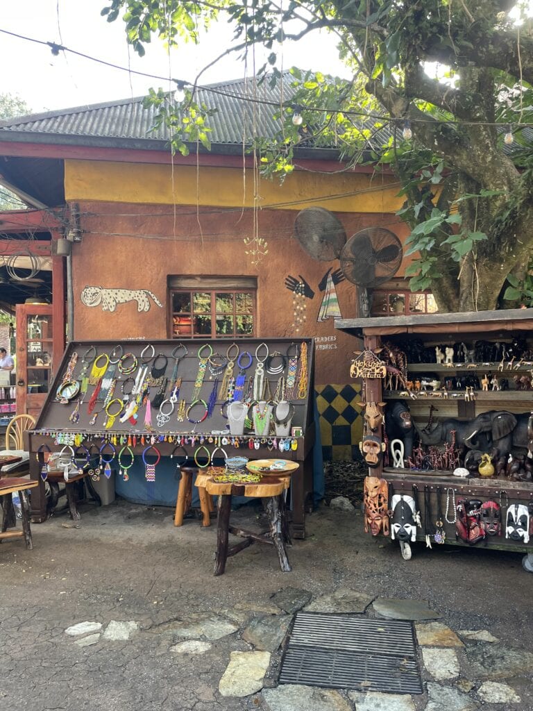 africa shop animal kingdom