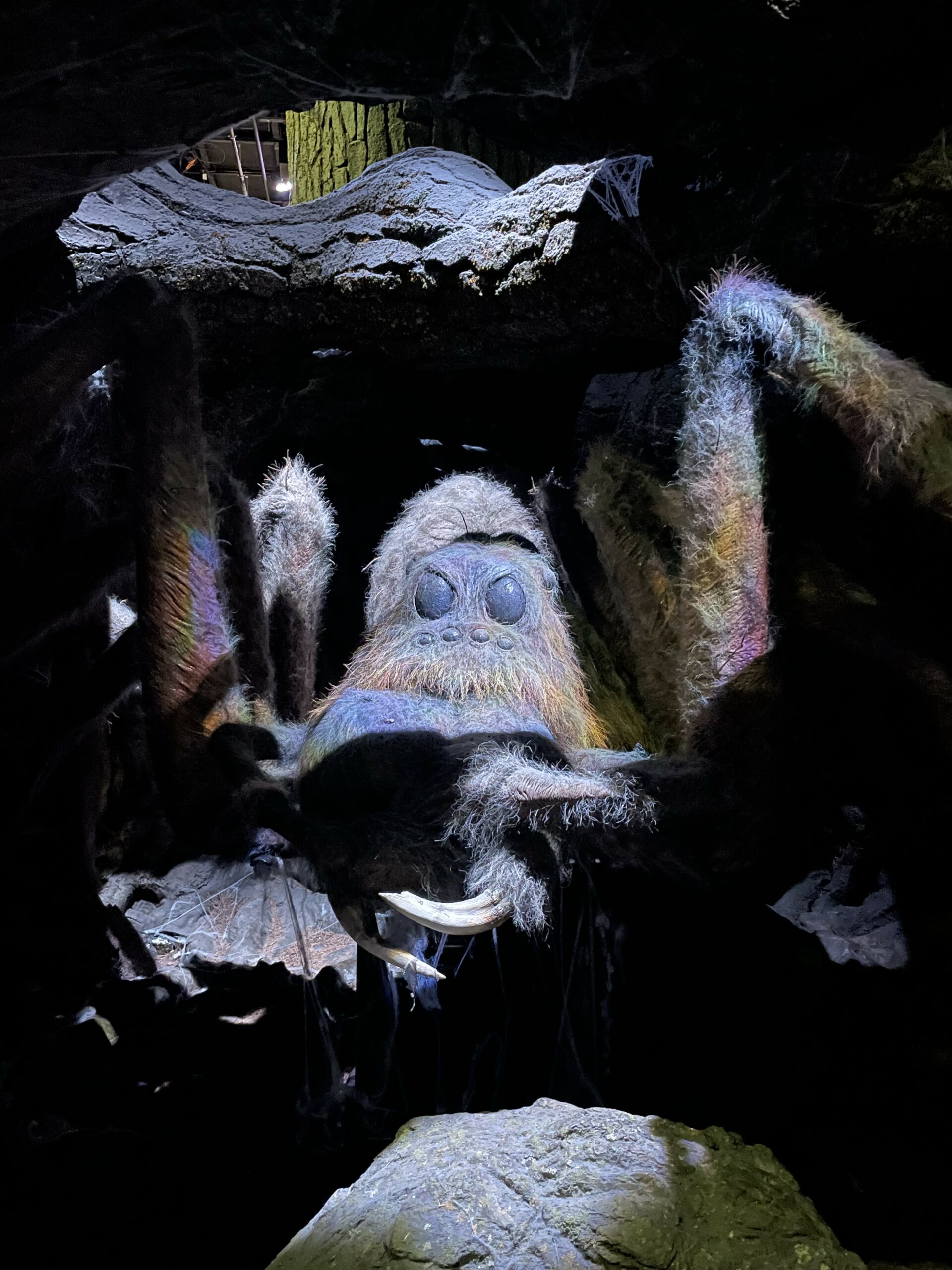 Aragog dans la Forêt Interdite du studio Harry Potter